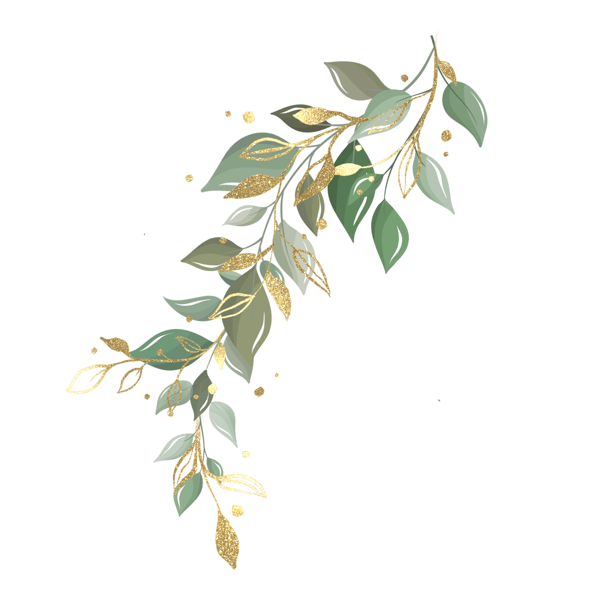 leaf-image